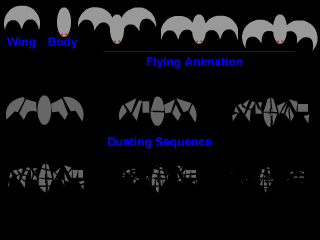 bat animation images